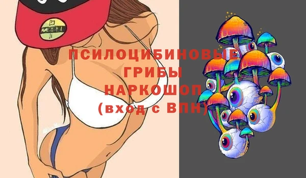 твердый Аркадак