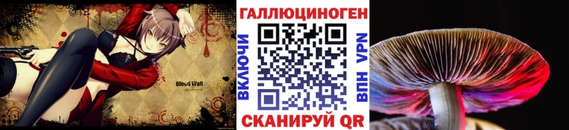 Псилоцибиновые грибы Magic Shrooms Сарапул